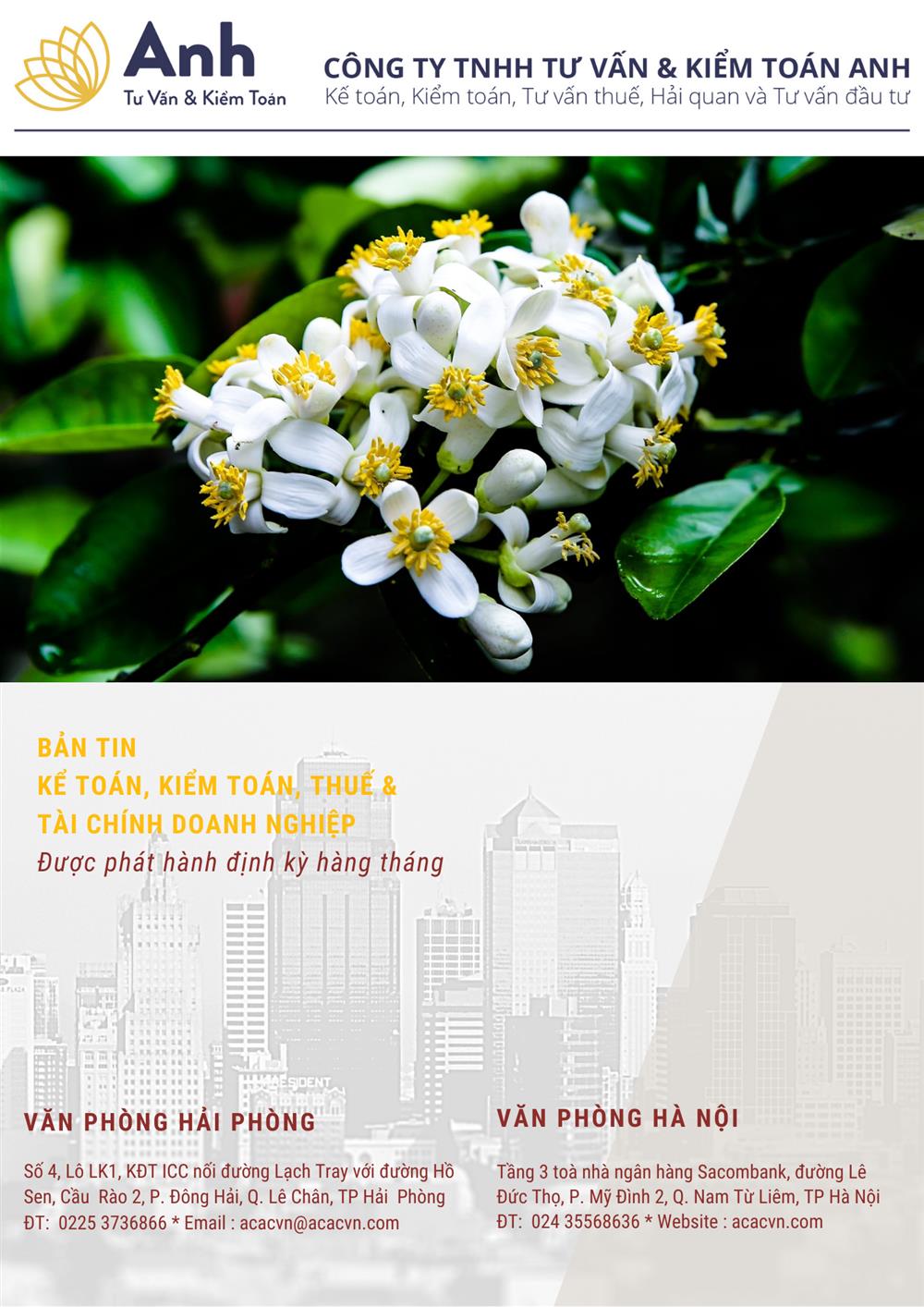 Bản tin đầu tư tài chính và thuế kỳ tháng 03/2021